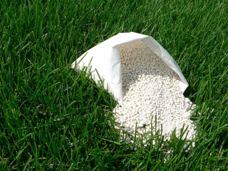 Using The Wrong Fertilizer