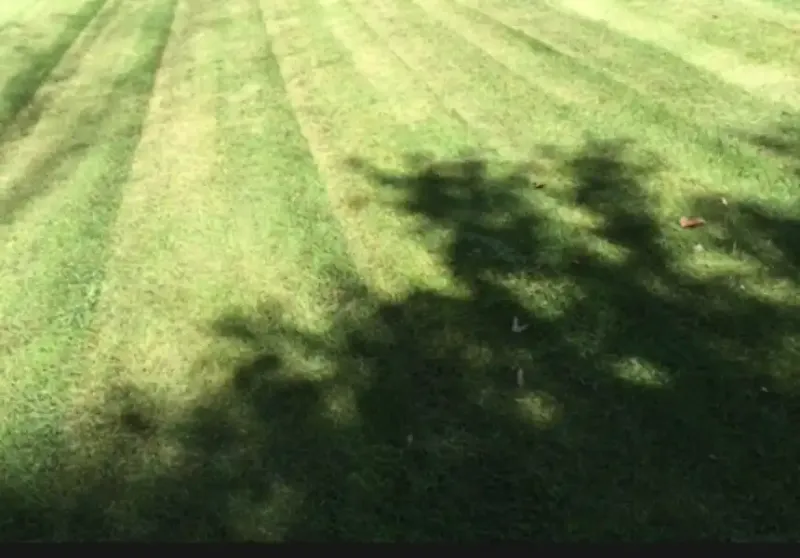Uneven Cutting Patterns Across Your Lawn