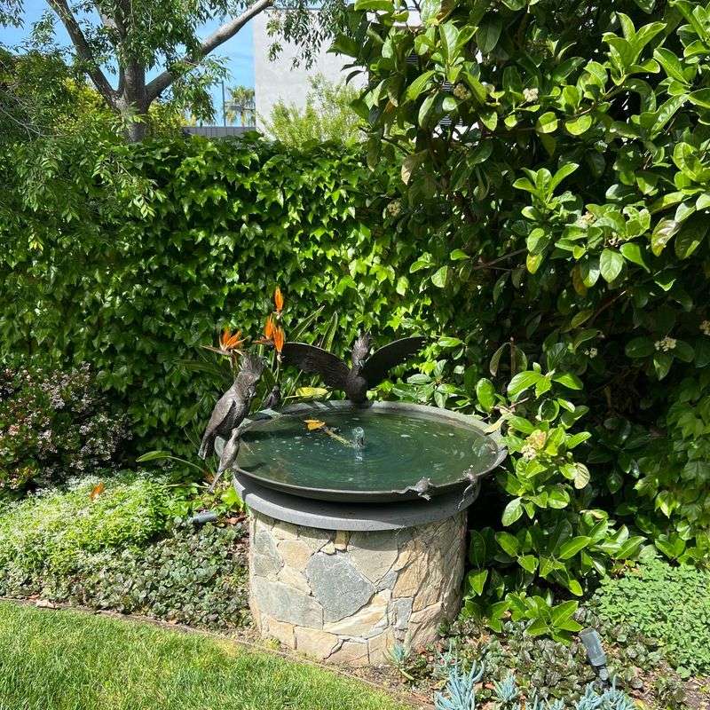 Water Features Too Deep