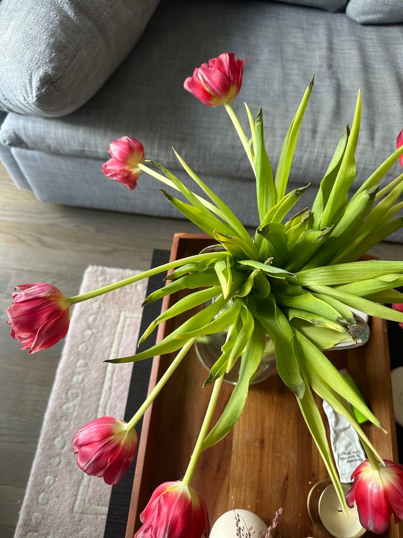 Support Drooping Stems