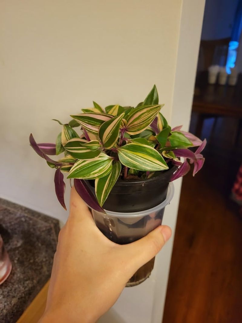 Create your own potting mix
