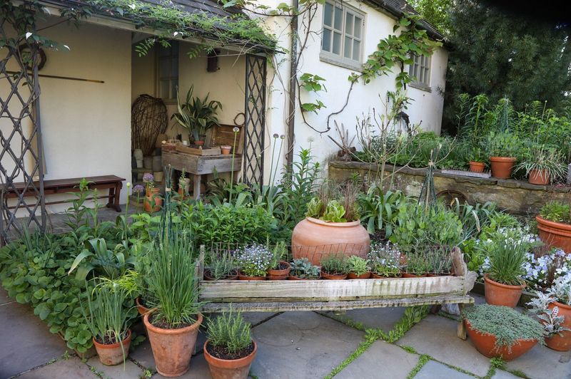 Upcycled Container Gardens