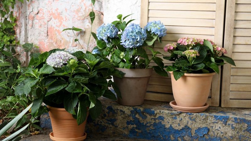 Underestimating Winter Storage Needs