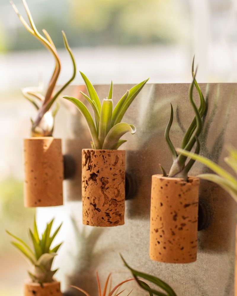 Wine Cork Planters