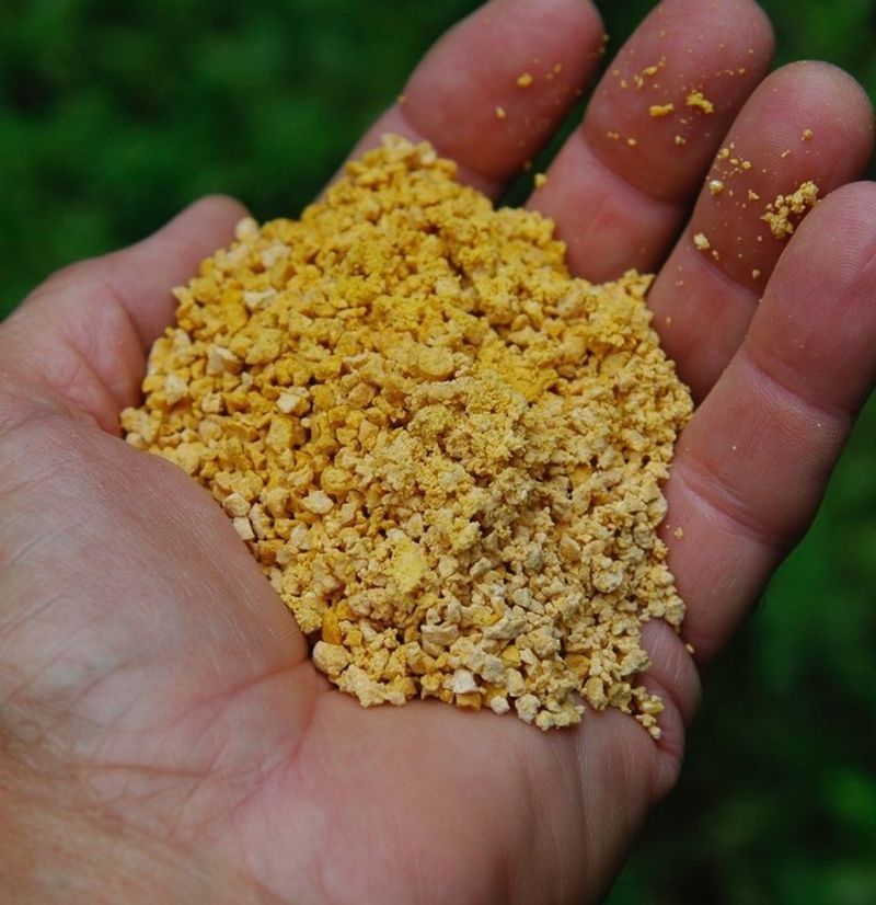Make Organic Lawn Fertilizer