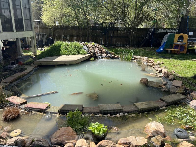 Keeping Water Features Unmaintained