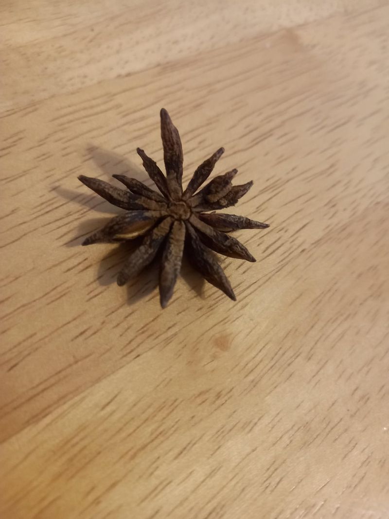 Star Anise Propagation Helper