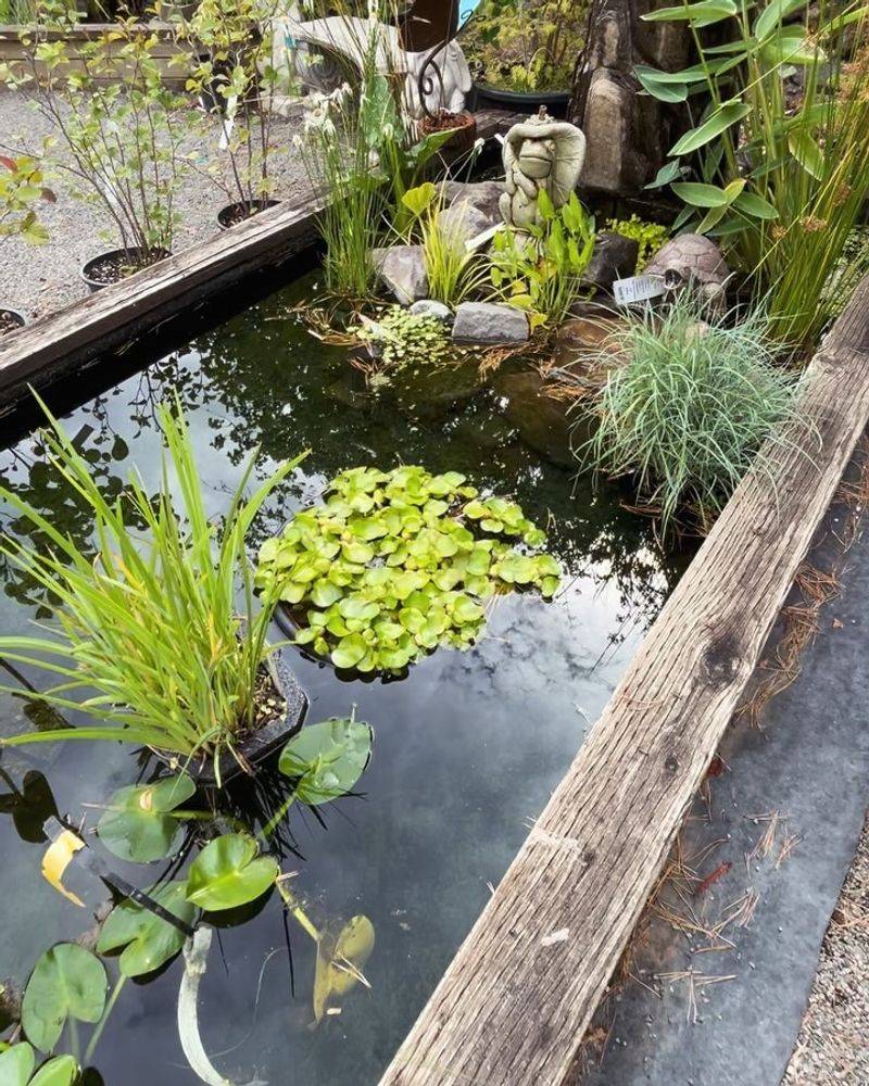 Contained Water Features