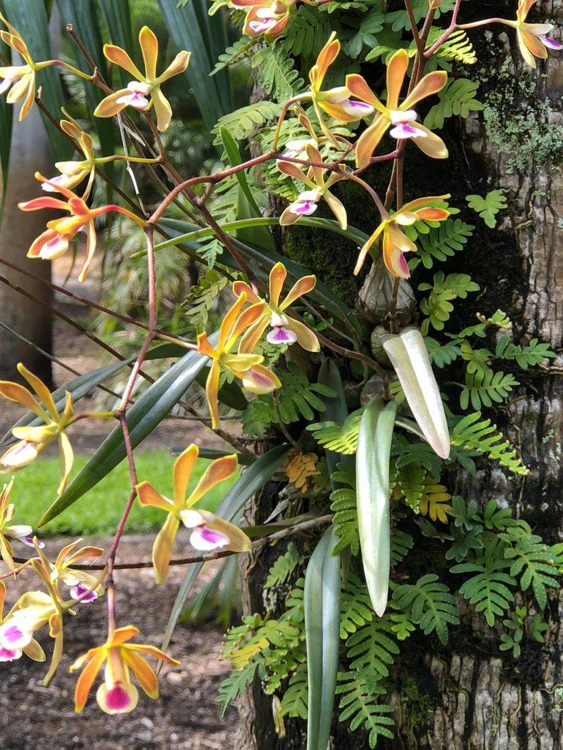 Seasonal Growth Patterns