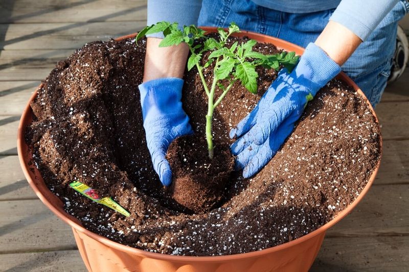Planting Too Deeply