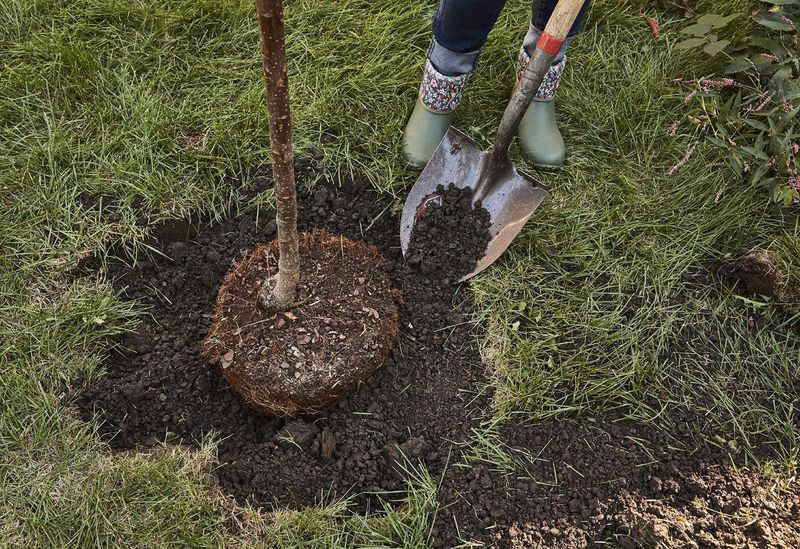 Proper Hole Preparation