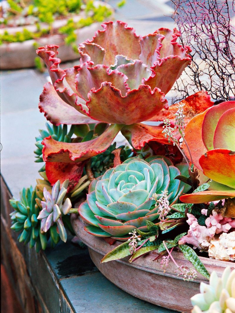 Slate Tile Dish Gardens