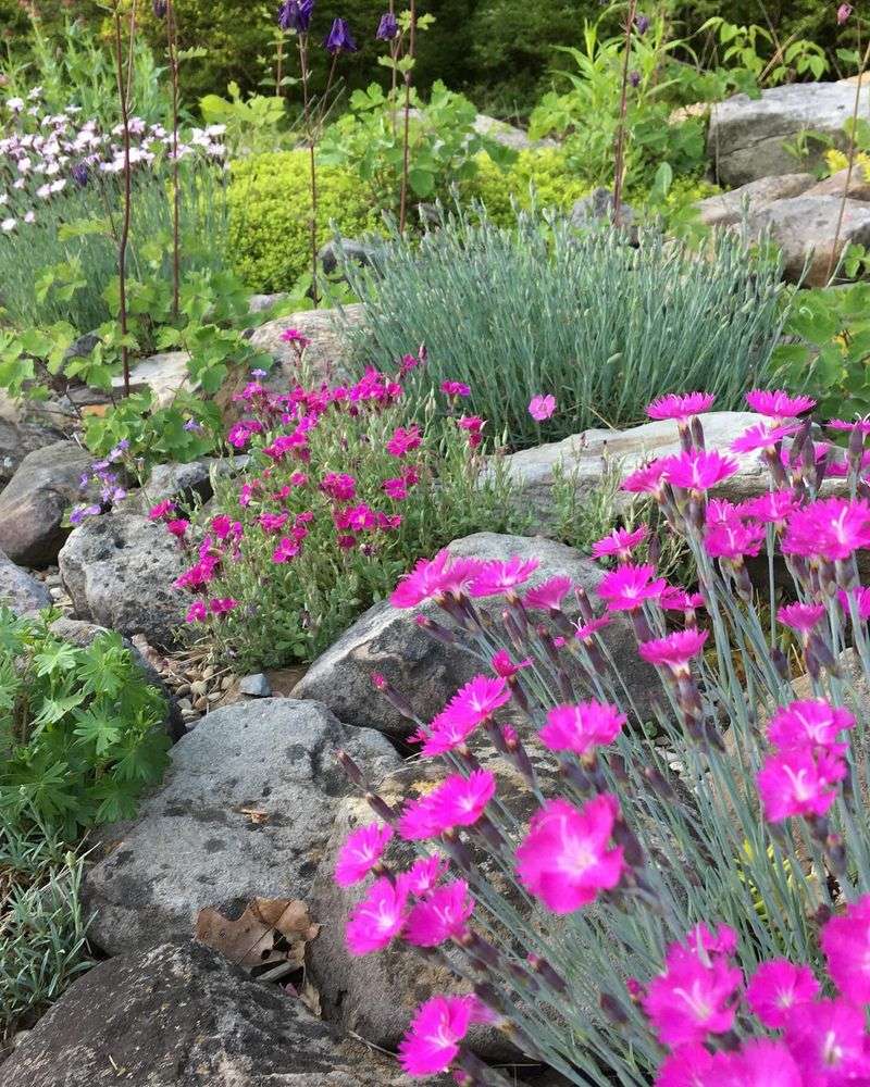 Rock Garden Pockets