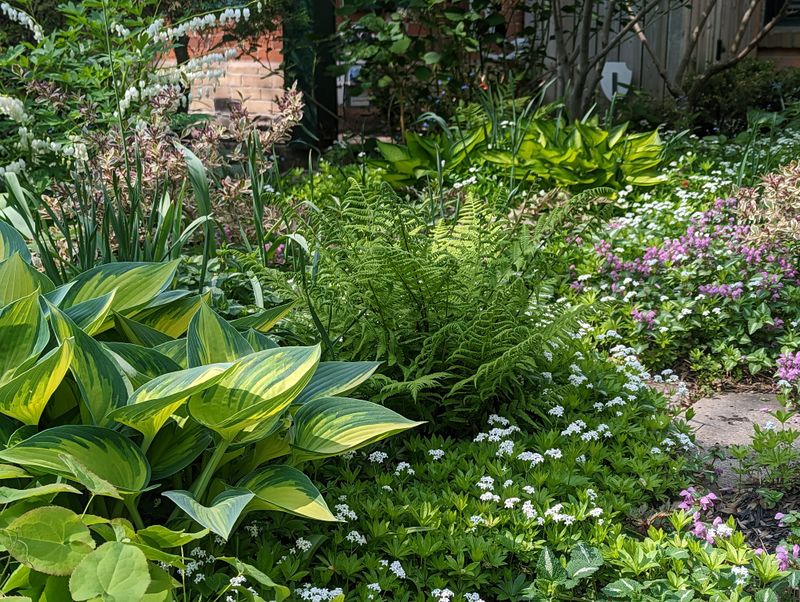 Mini Woodland Gardens