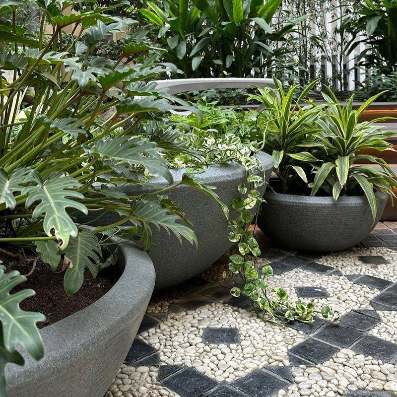 Container Gardening Clusters