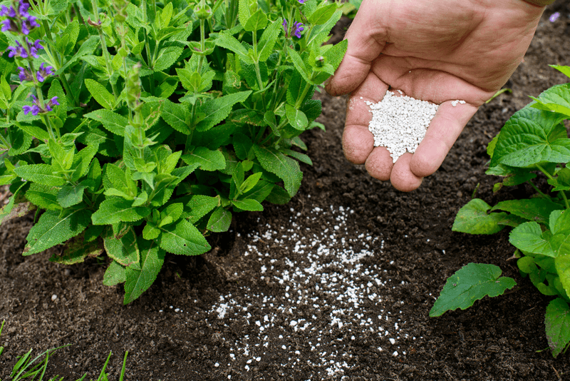 Improper Fertilizing Techniques