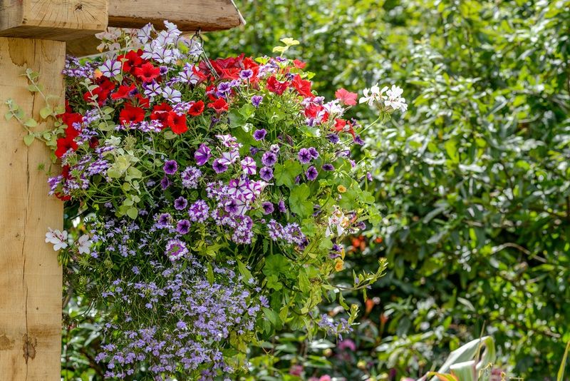 Ignoring Seasonal Changes