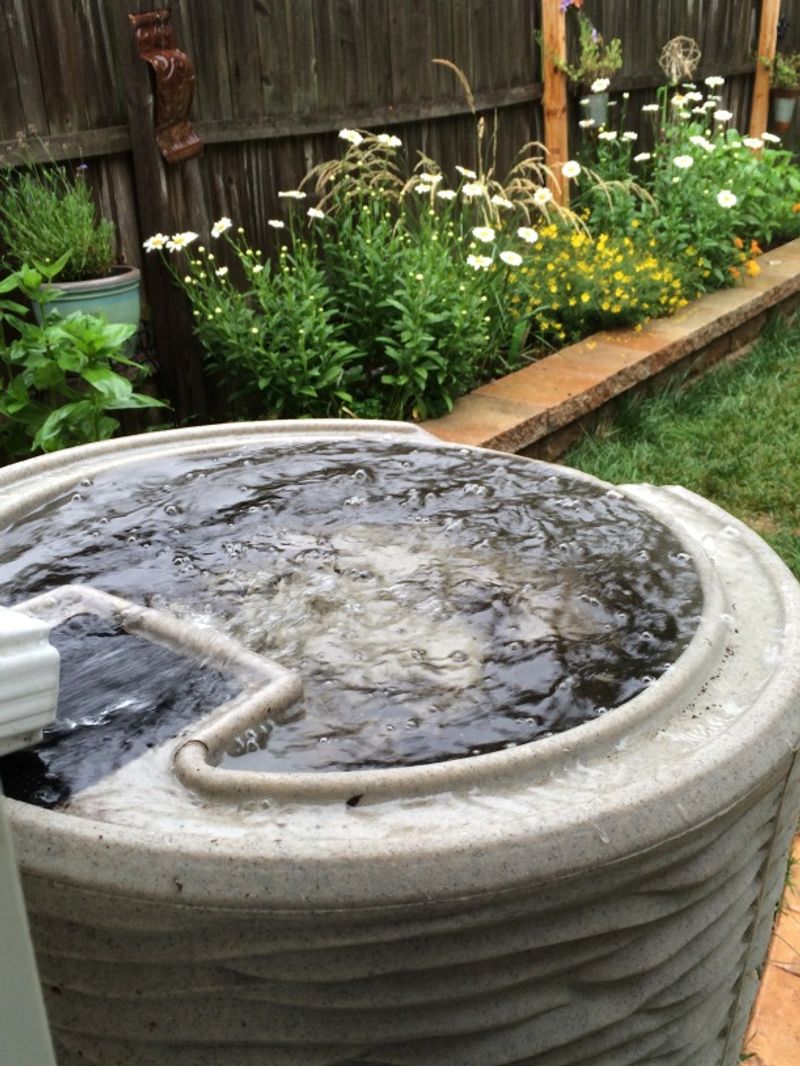Using cold water for irrigation