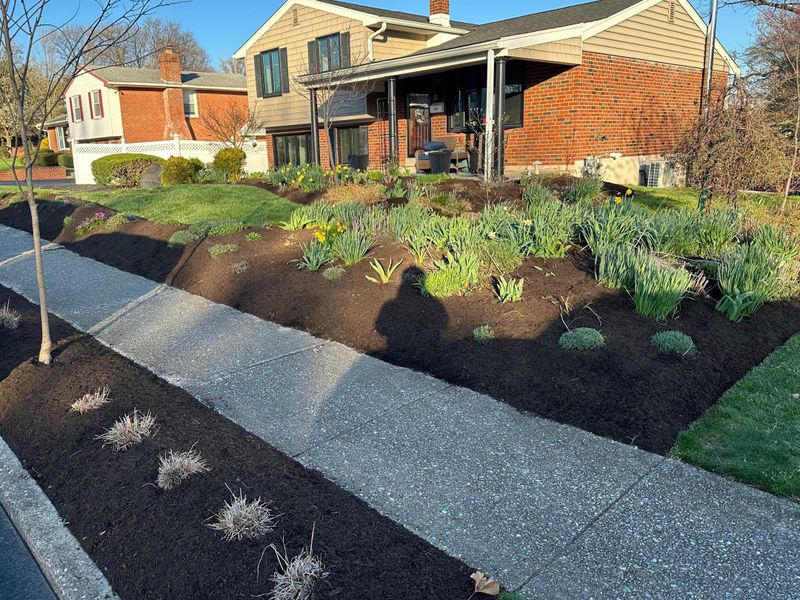 Reduces Watering Needs