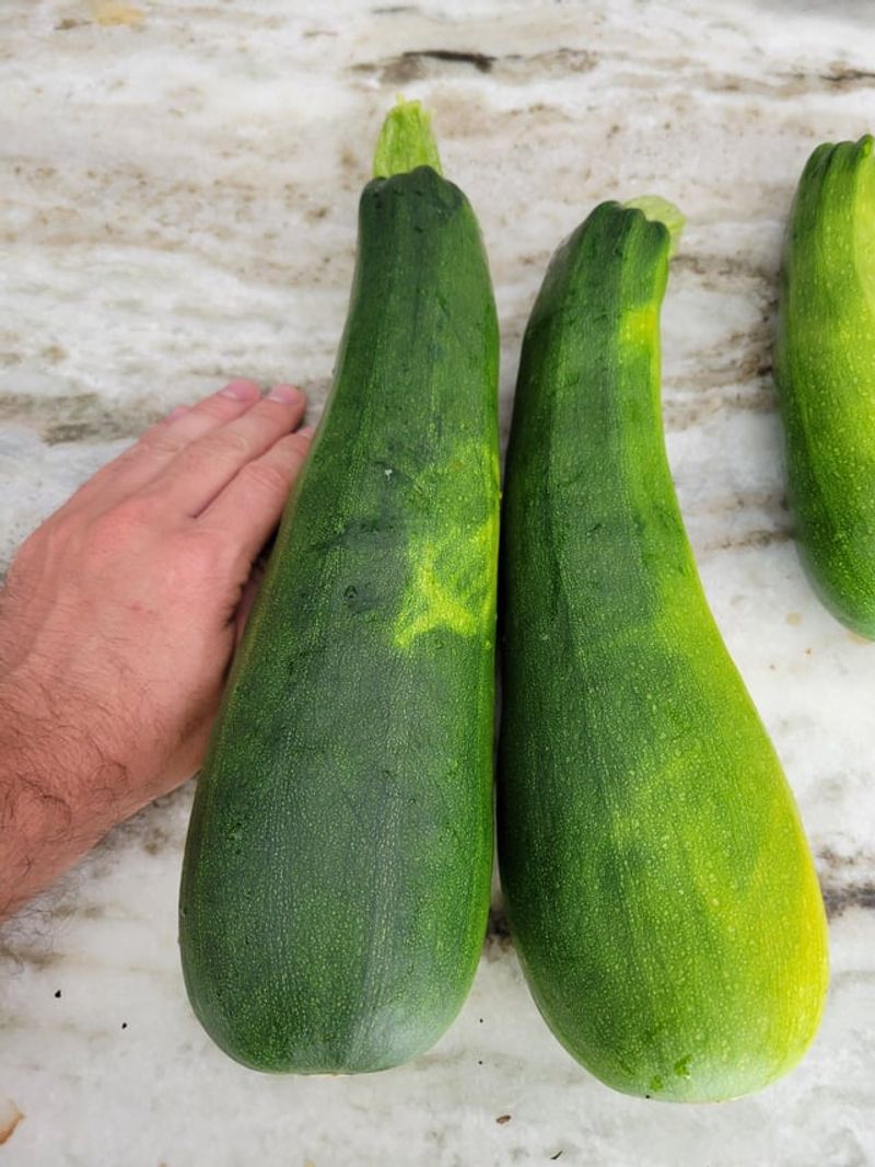 Bitter Fruit Problems