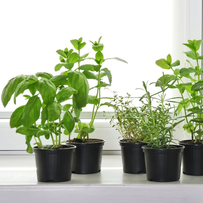 Hot Windowsills