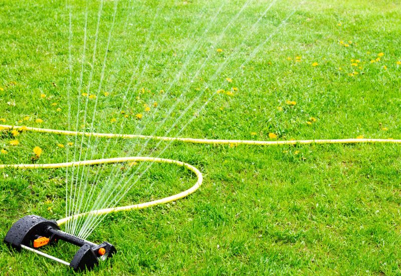 Overzealous Watering Techniques