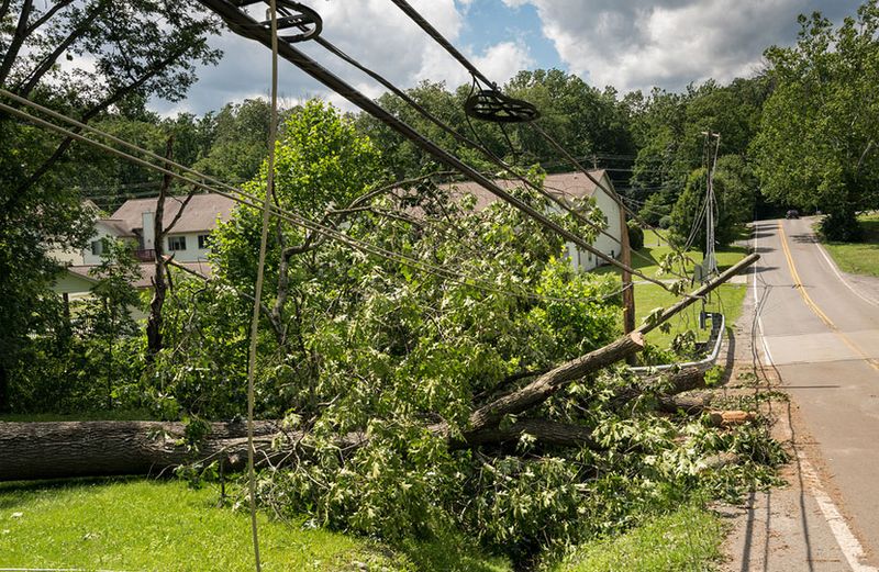 Trees Growing Under Power Lines Create Hazards