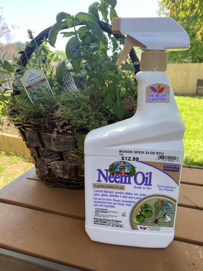 Neem Oil