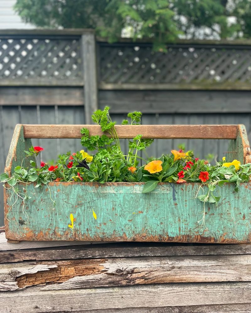 Vintage Toolbox Gardens