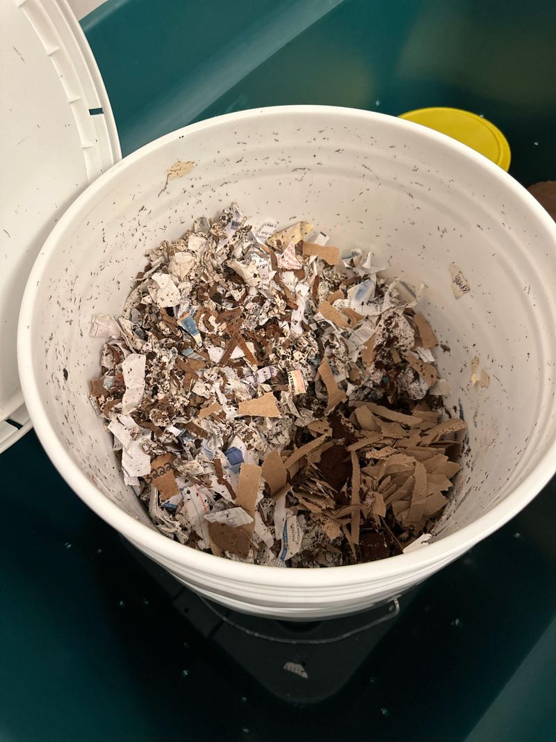 Worm Bin Bedding