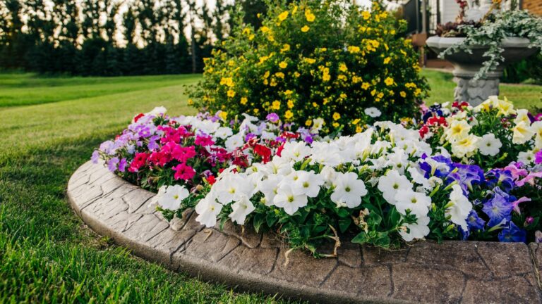 colorful flower bed