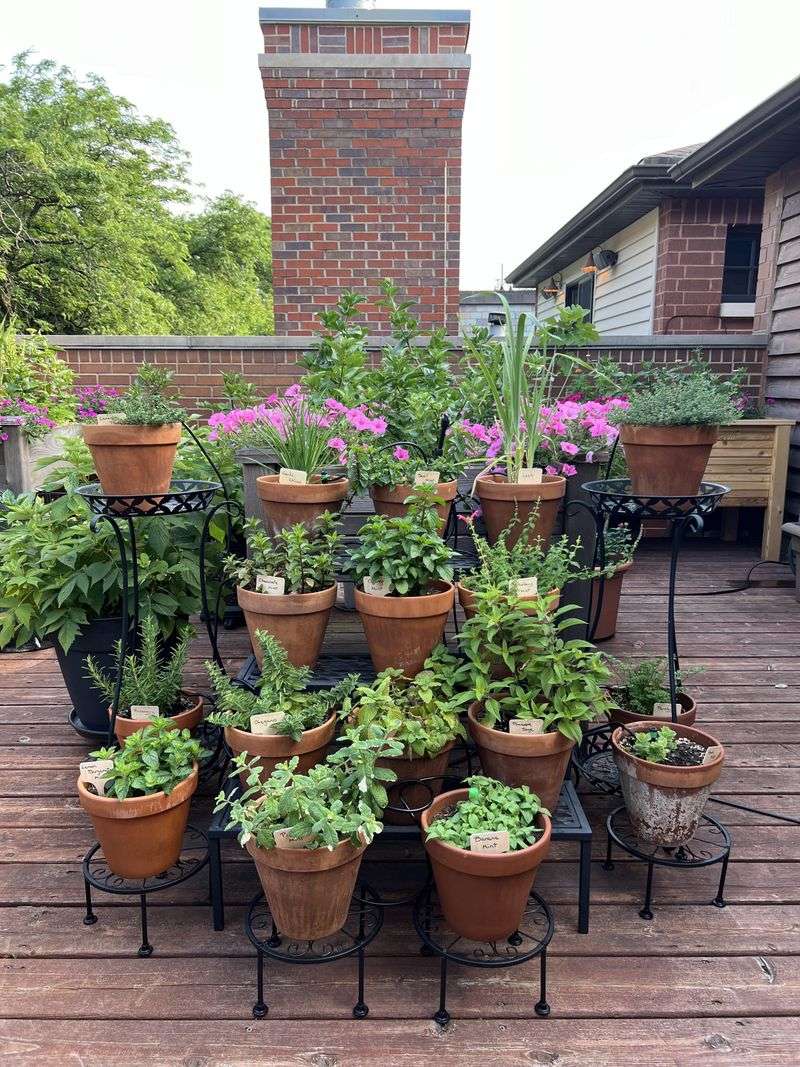Use Container Gardening