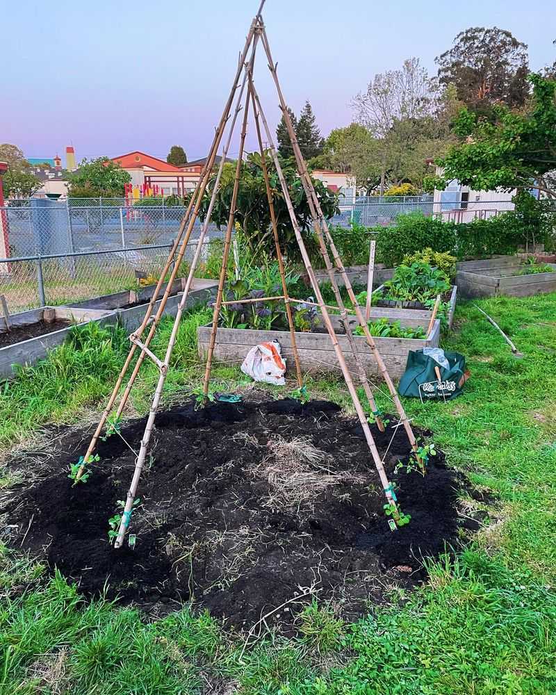 Bean Teepee Adventure