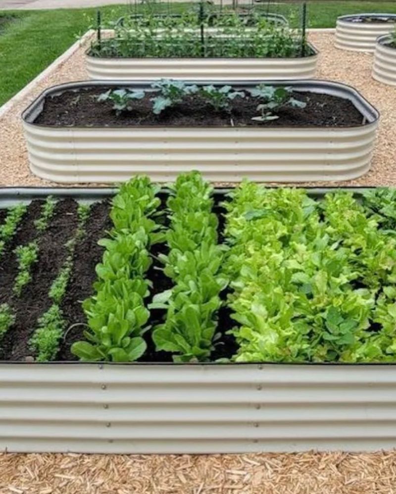 Raised Planting Beds