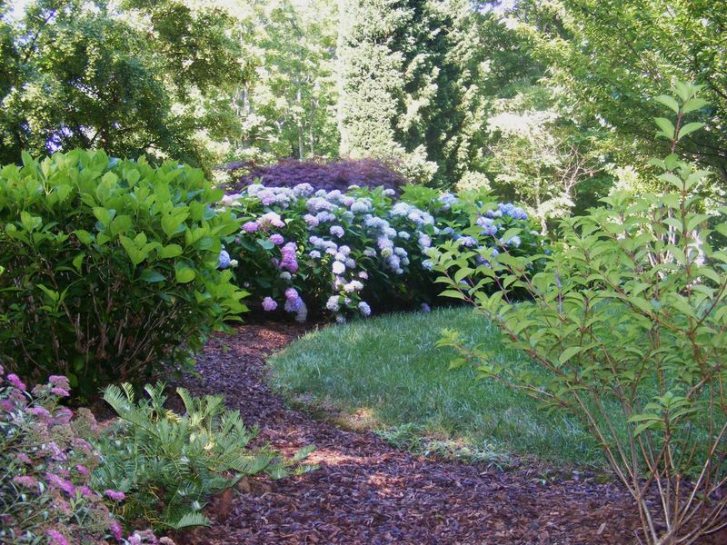 Nutrient-Stealing Grass