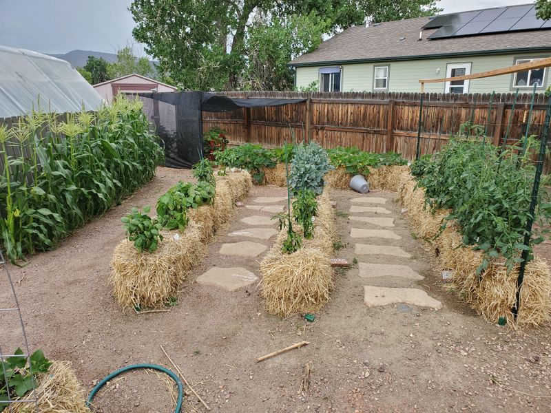 Straw Bale Gardens