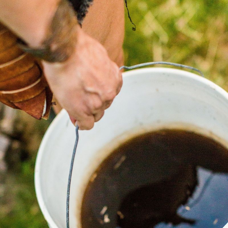 Brew Compost Tea For Liquid Feeding