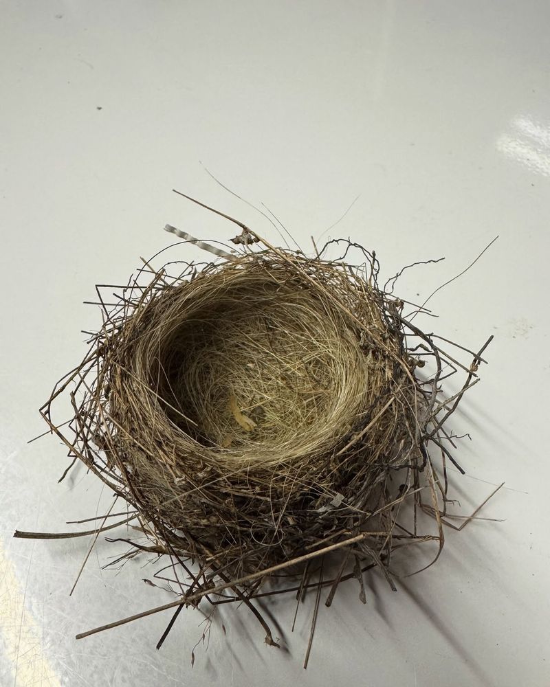 Provide Nesting Materials