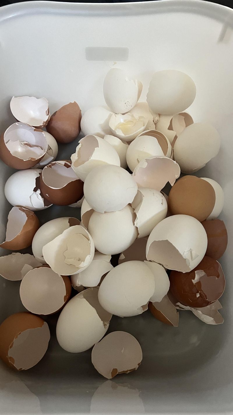Incorporate Crushed Eggshells Gradually