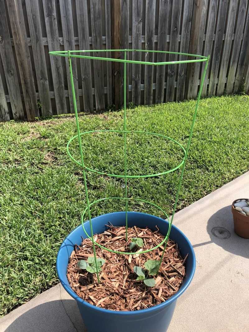 Tomato Cage Hack