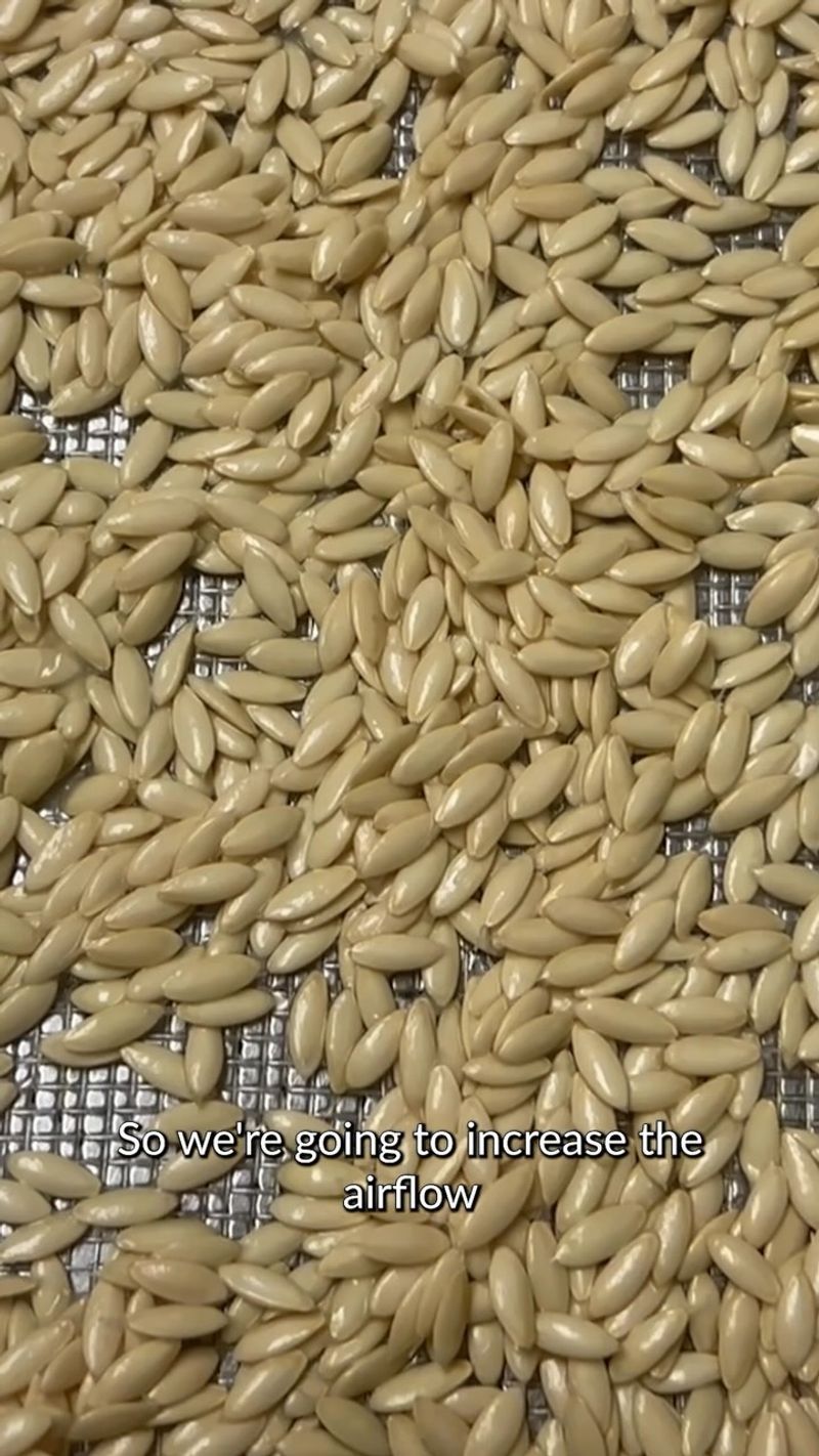 Save Seeds from Your Best Plants