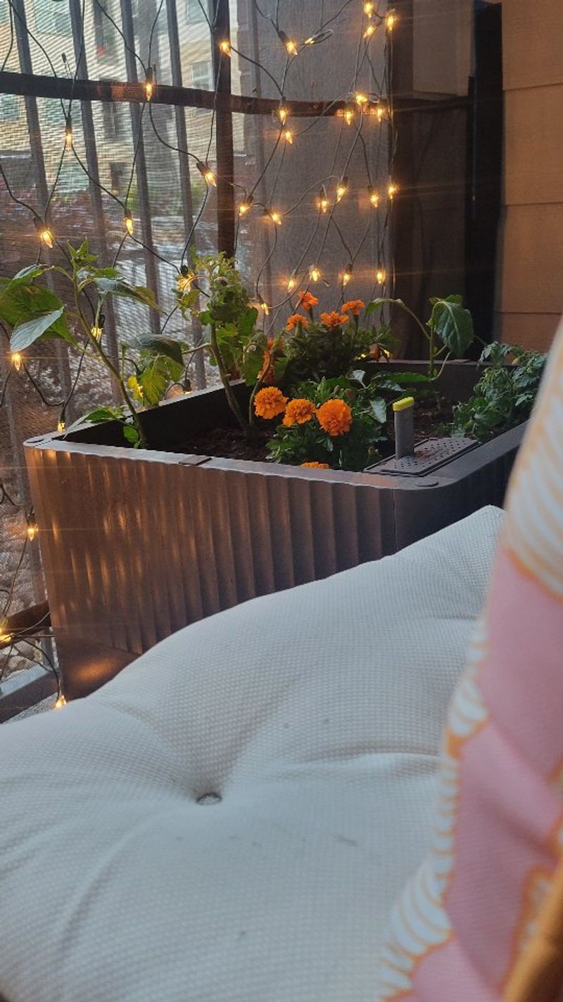 Self-Watering Solutions