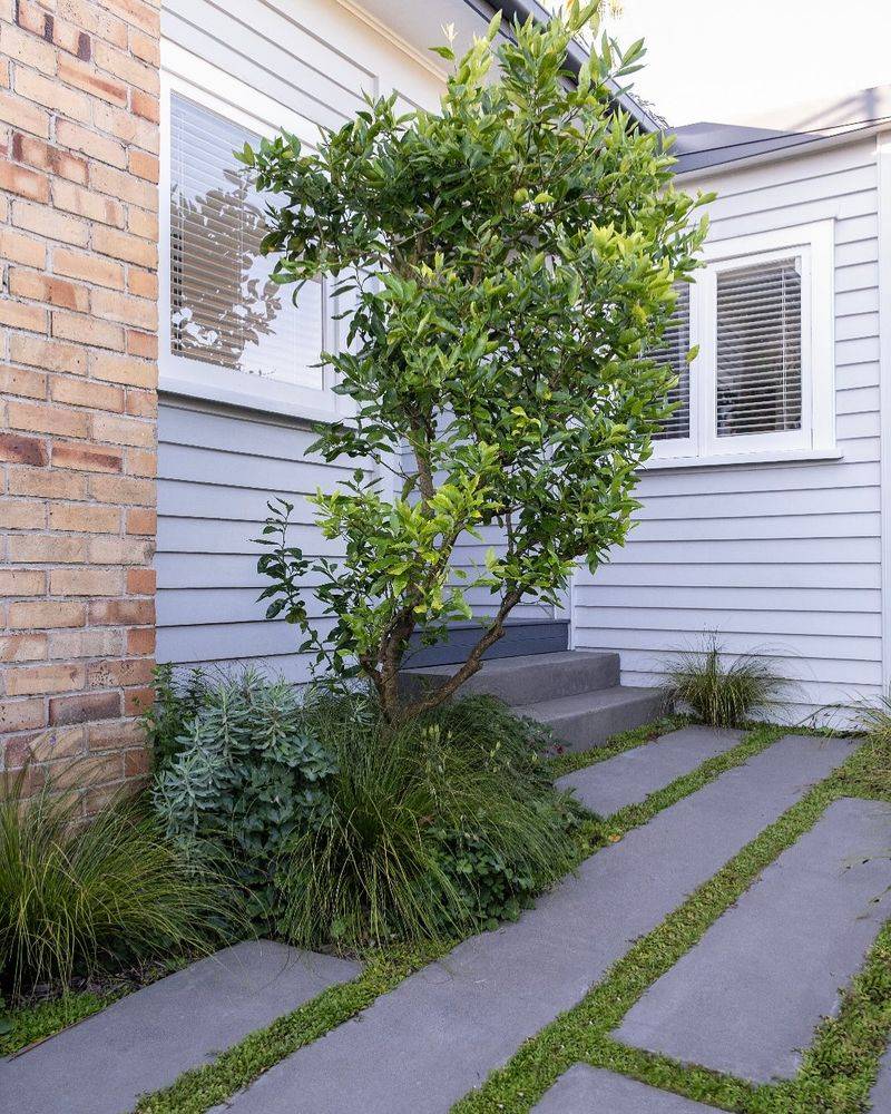 Pocket Gardens Around Trees