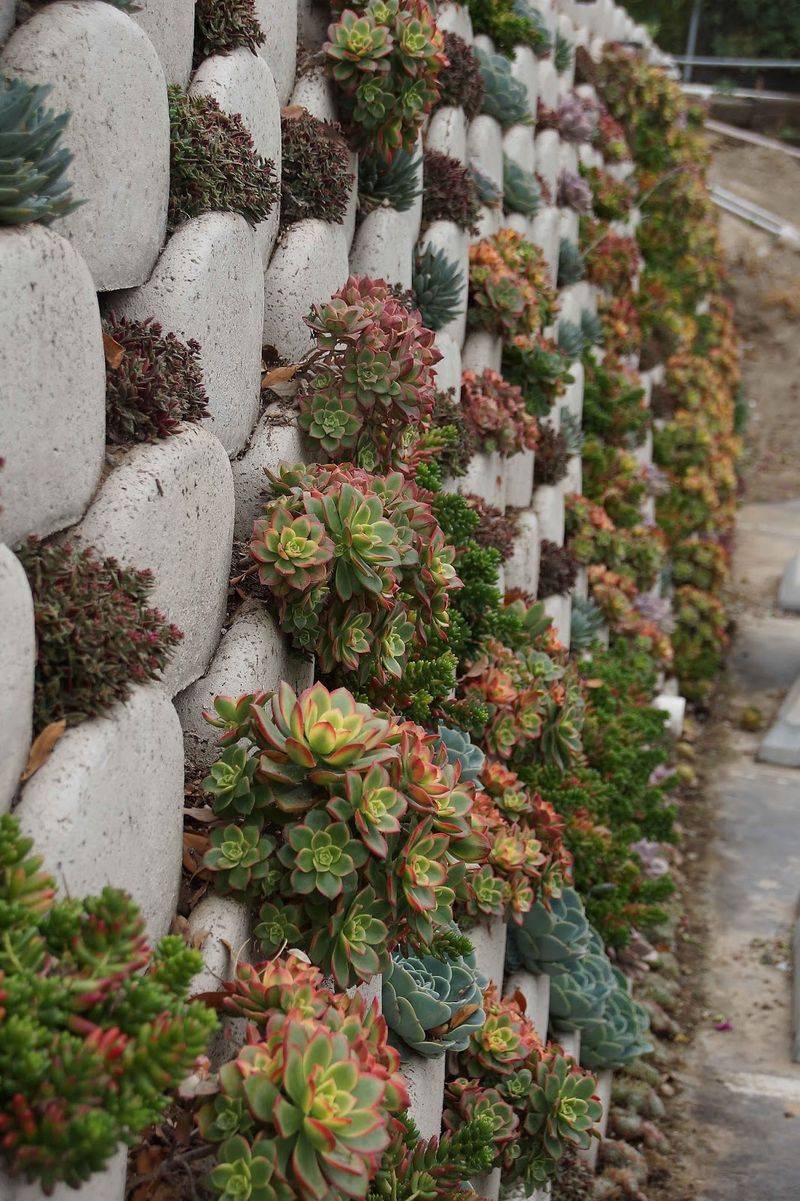 Stone Wall Pocket Planters