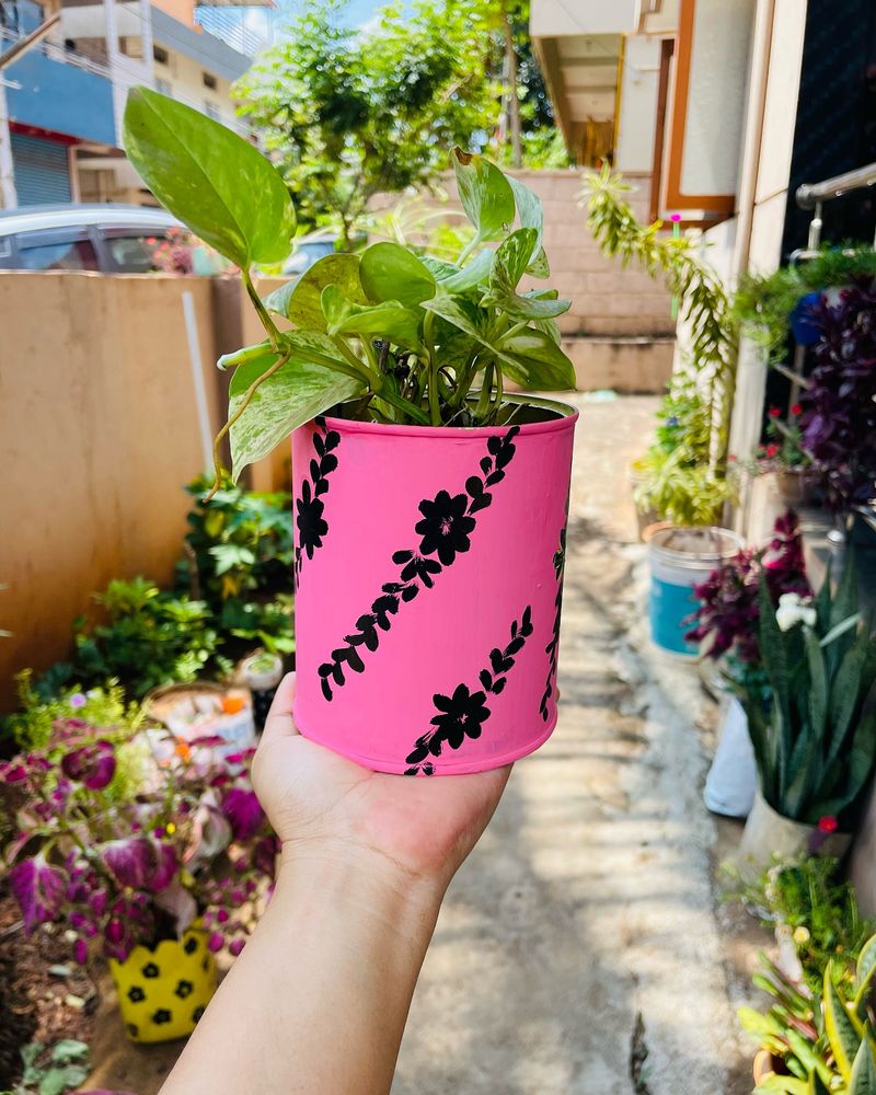 Upcycled Tin Can Gardens
