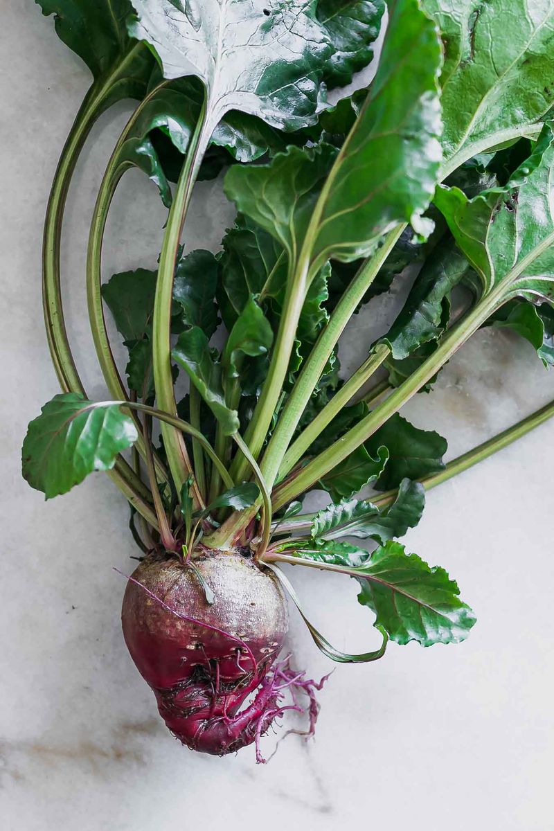 Store Your Harvest Properly For Months Of Enjoyment