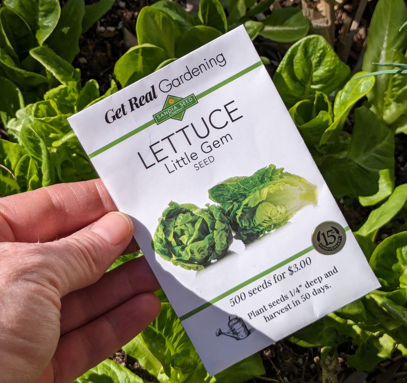 Seed Packet Information