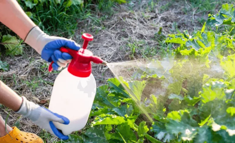 NEVER Use Broad-Spectrum Pesticides