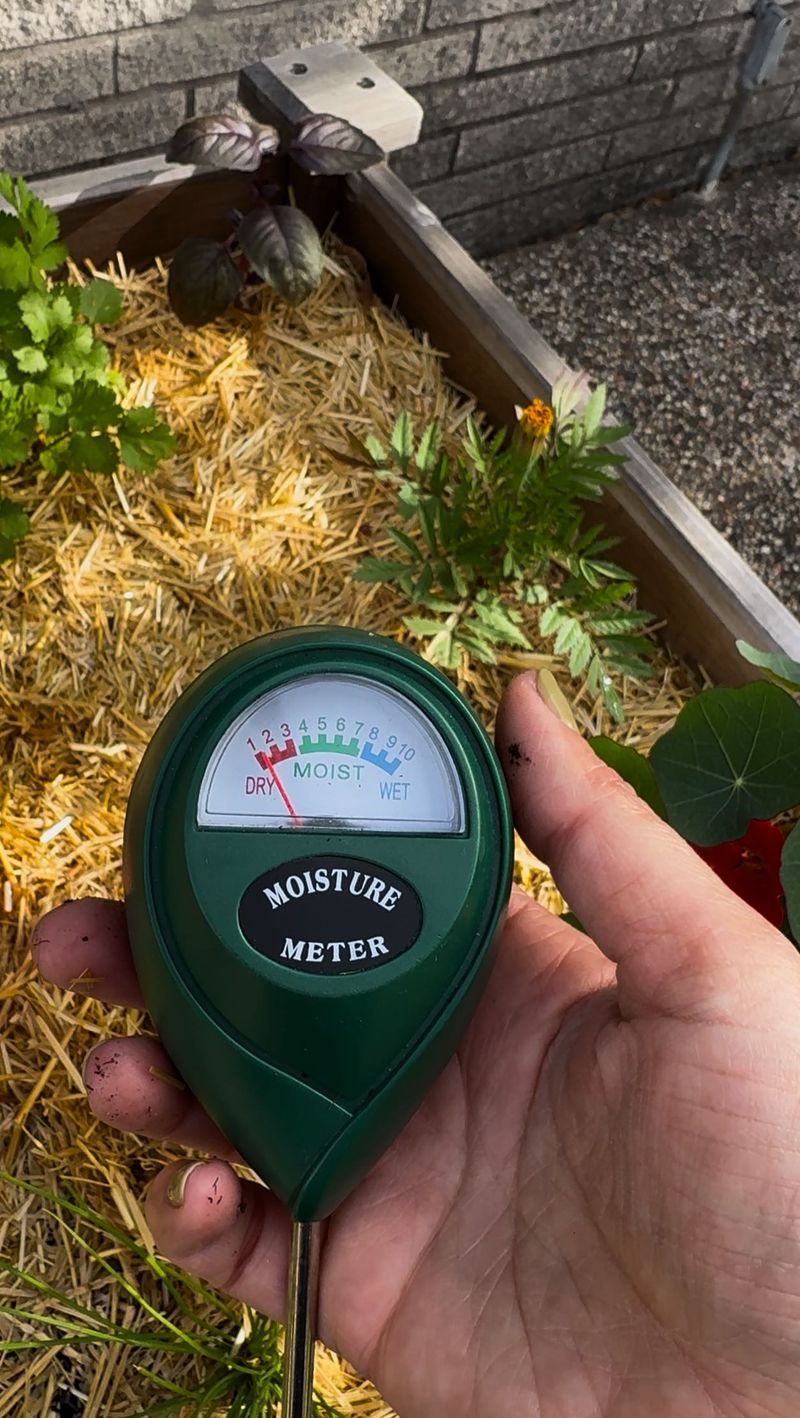 Check Soil Moisture Levels