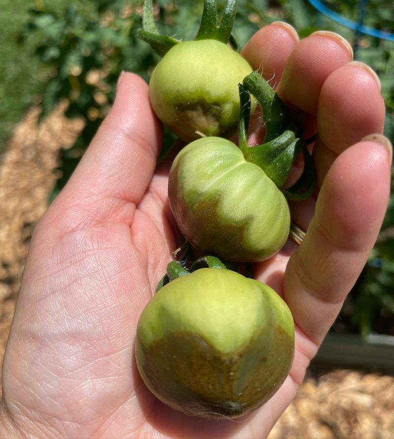 Overlooking Calcium Deficiency